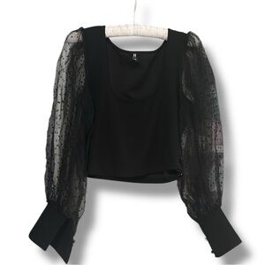 Hidden Brand Black Long Sleeve Blouse with Sheer Dot Sleeves Size Large